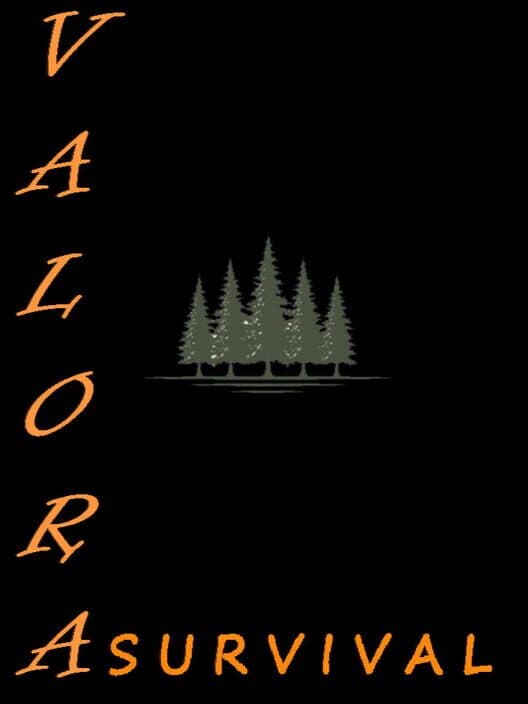 Обложка Valora Survival