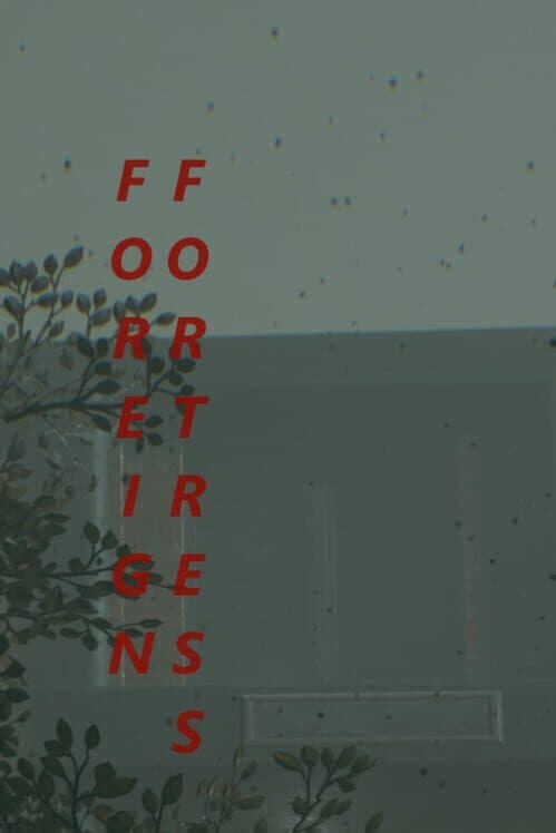 Обложка Foreign Fortress