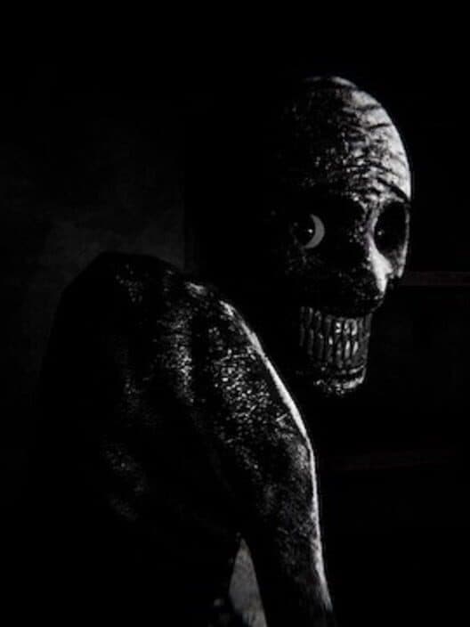 Обложка Insomnis Experiment
