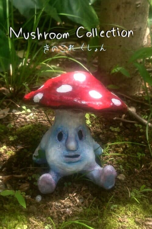 Обложка Mushroom Collection
