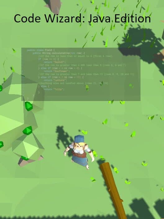 Обложка Code Wizard: Java Edition
