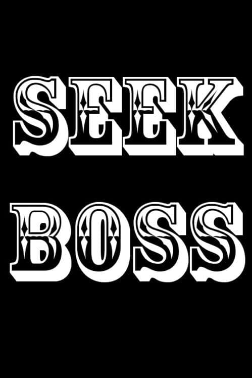 Обложка Seekboss