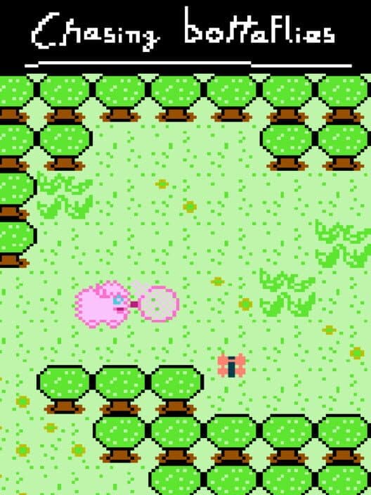 Обложка Chasing Bottaflies