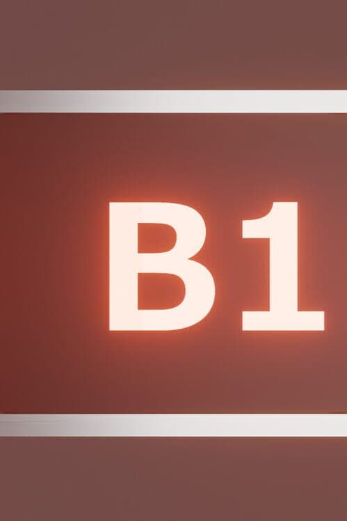 Обложка B1
