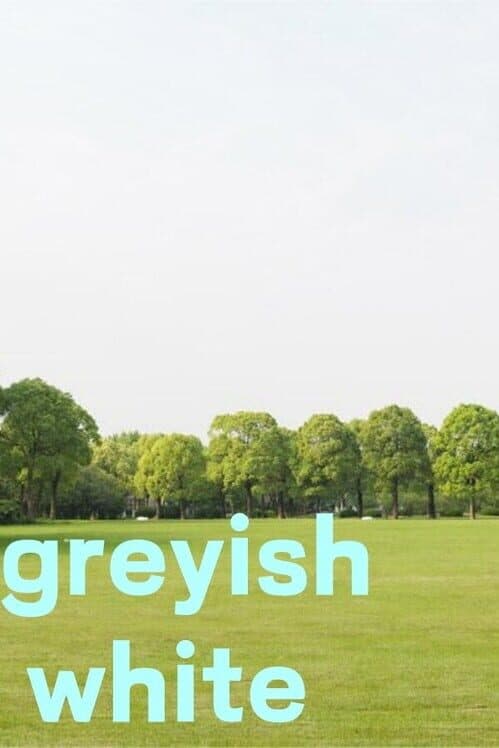 Обложка Greyish White