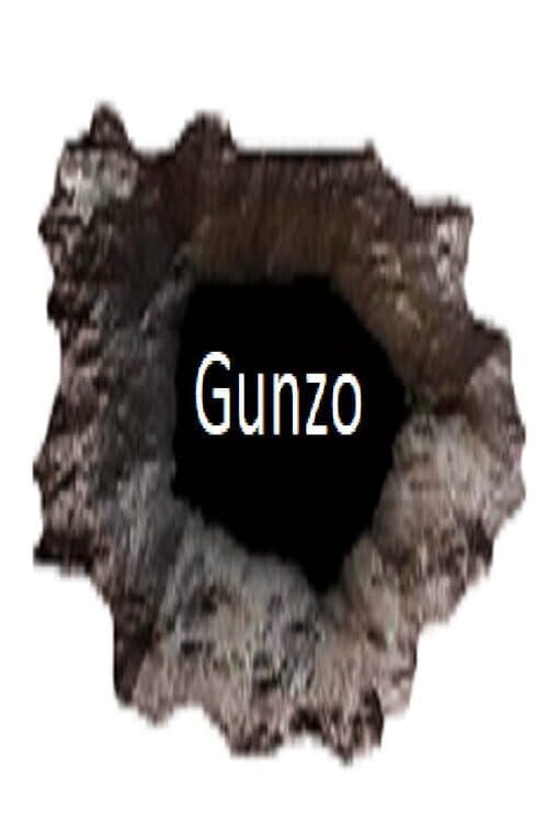 Обложка Gunzo!