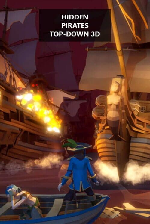 Обложка Hidden Pirates Top-Down 3D