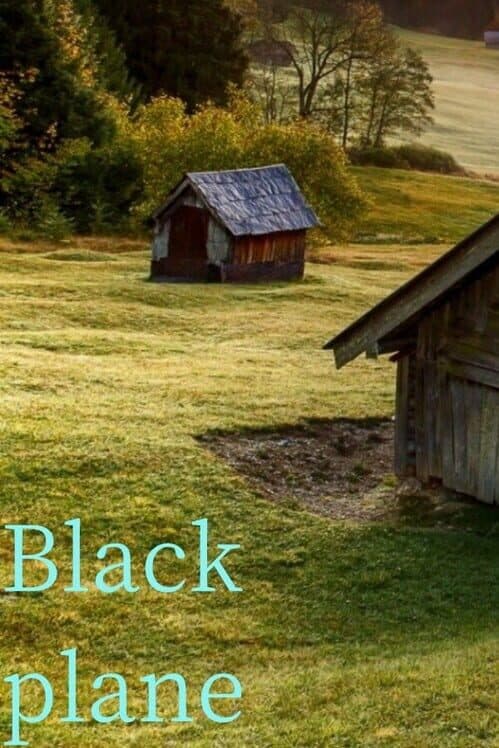 Обложка Black plane