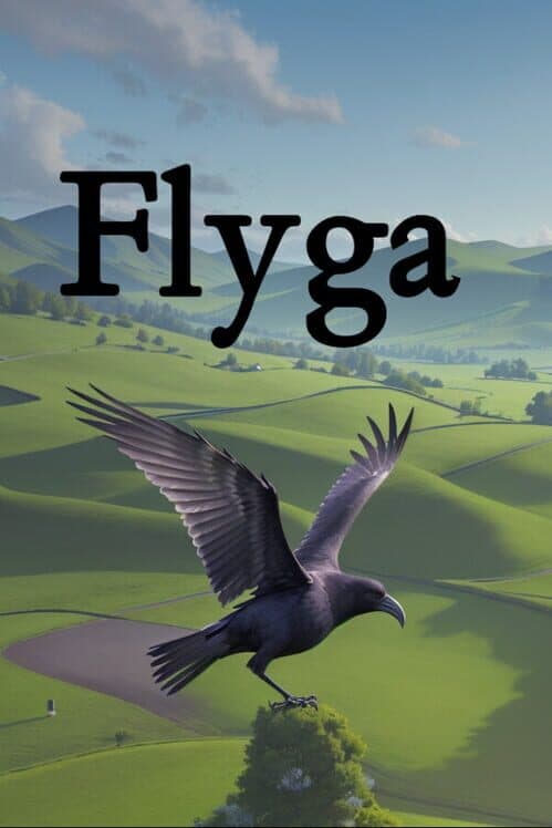 Обложка Flyga