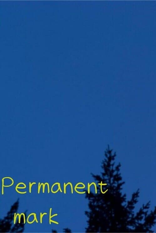 Обложка Permanent Mark