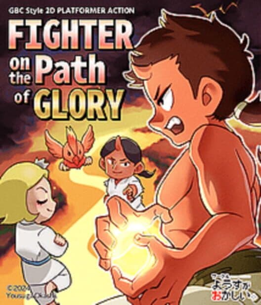 Обложка Fighter on the Path of Glory