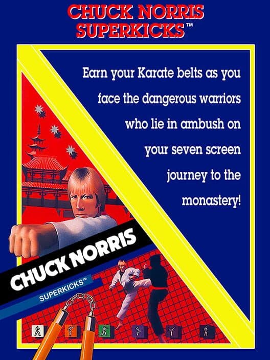 Обложка Chuck Norris Superkicks