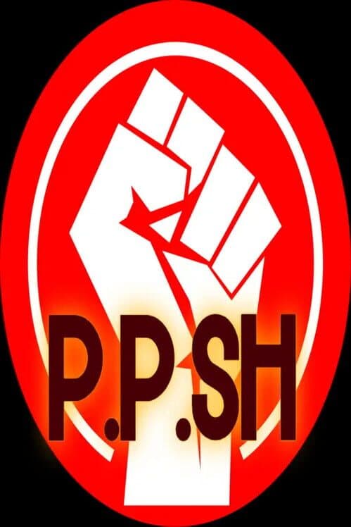 Обложка P.P.SH