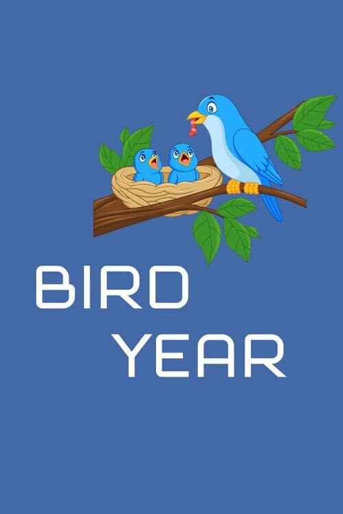 Обложка Bird Year