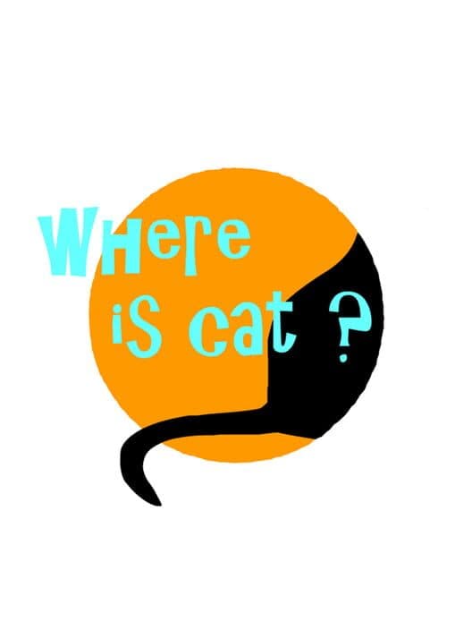 Обложка Where is cat?