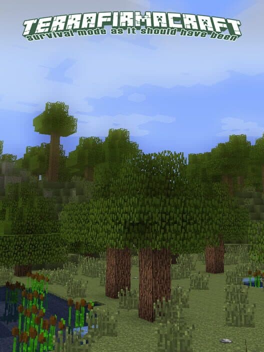 Обложка TerraFirmaCraft