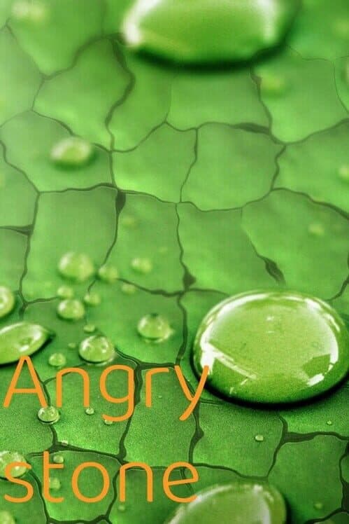 Обложка Angry stone