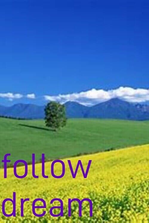Обложка Follow Dream