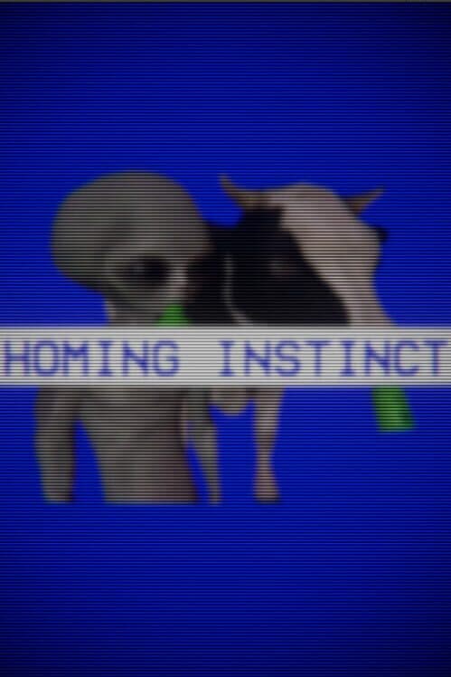 Обложка Homing Instinct