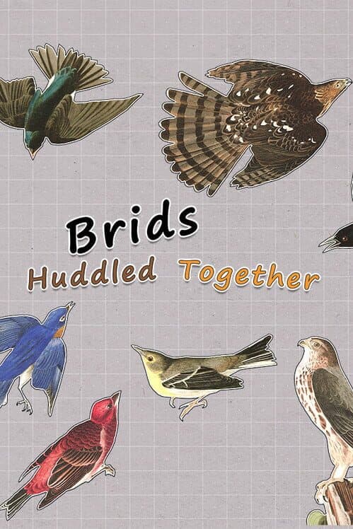 Обложка Brids Huddled Together