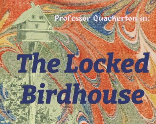 Обложка Professor Quackerton in: The Locked Birdhouse
