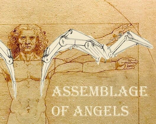 Обложка Assemblage of Angels