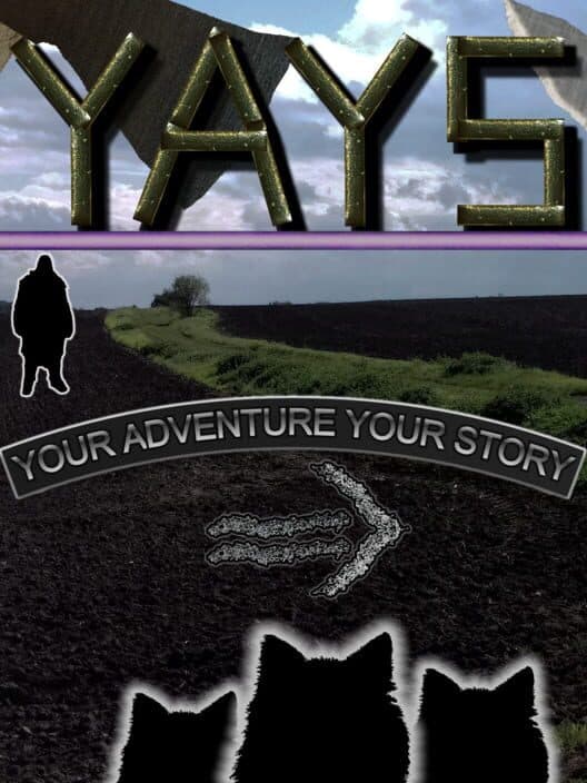 Обложка YAYS: Your Adventure Your Story