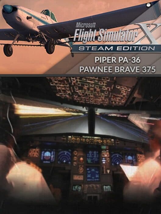 Обложка Microsoft Flight Simulator X: Steam Edition - Piper PA-36 Pawnee Brave 375