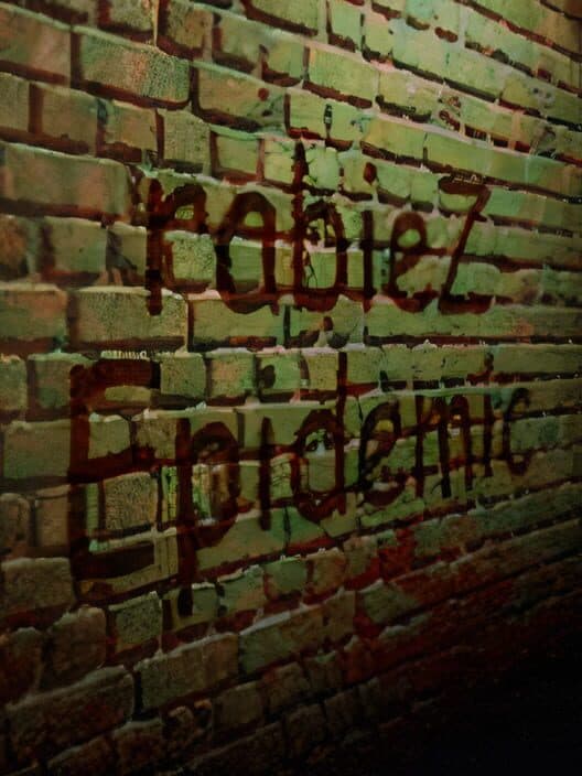 Обложка Rabiez: Epidemic