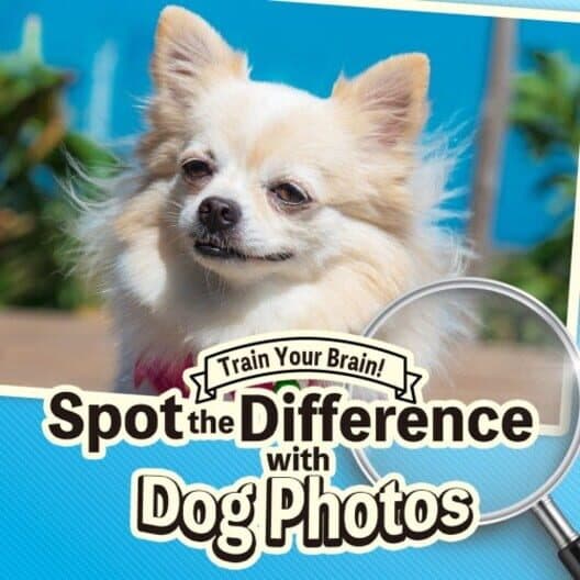Обложка Train Your Brain! Spot the Difference with Dog Photos