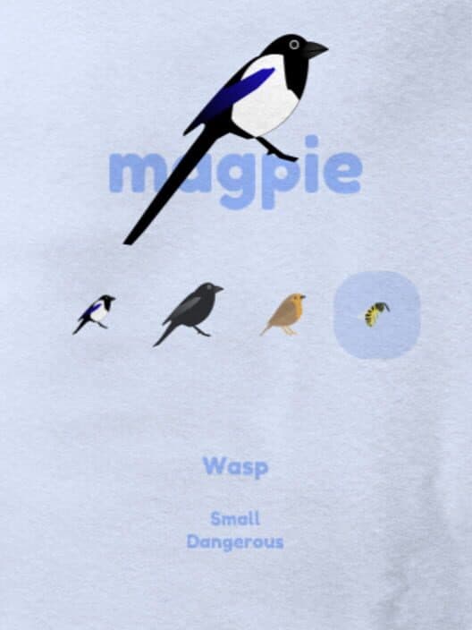 Обложка Magpie