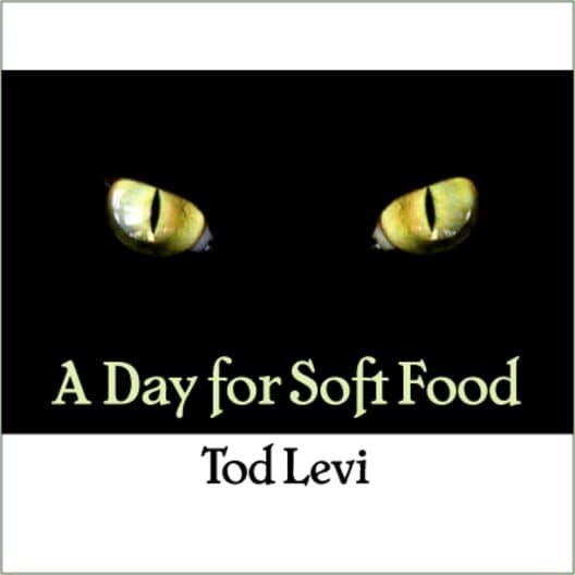 Обложка A Day for Soft Food