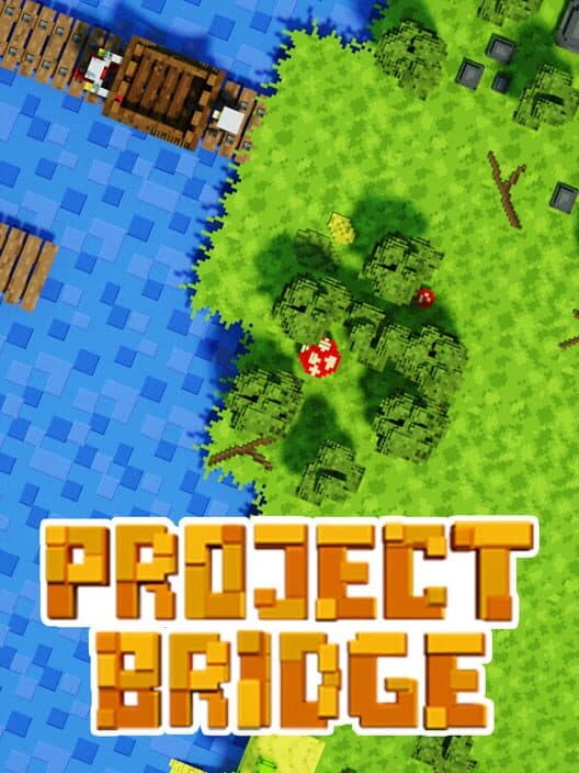 Обложка Project Bridge