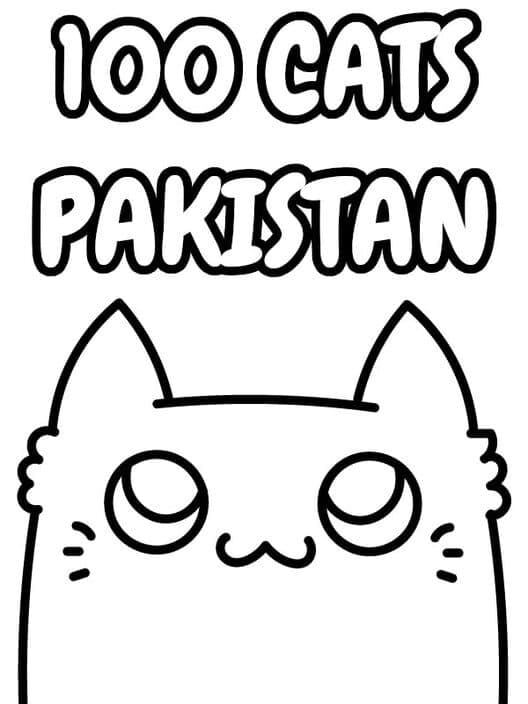 Обложка 100 Cats Pakistan