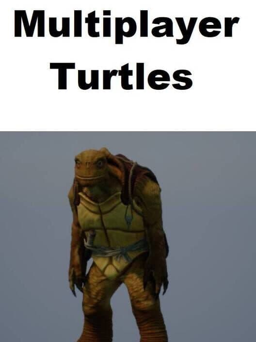 Обложка Multiplayer Turtles