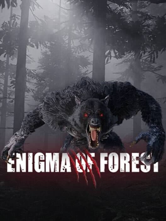 Обложка Enigma of Forest