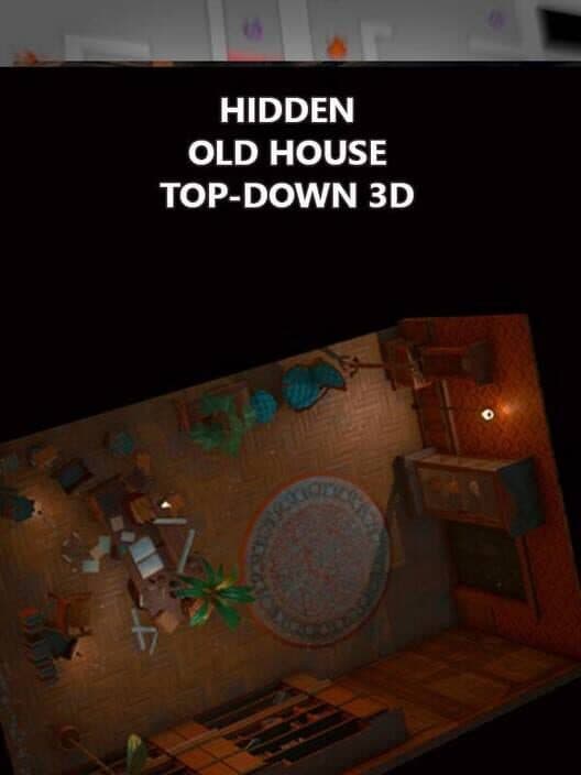 Обложка Hidden Old House Top-Down 3D