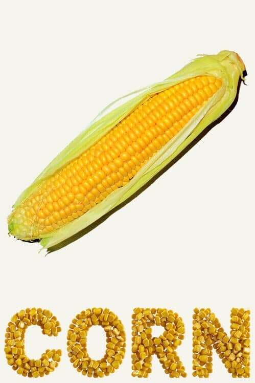 Обложка Corn