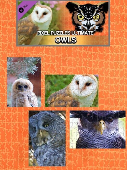 Обложка Pixel Puzzles Ultimate: Owls