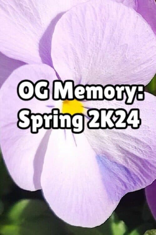 Обложка OG Memory: Spring 2K24