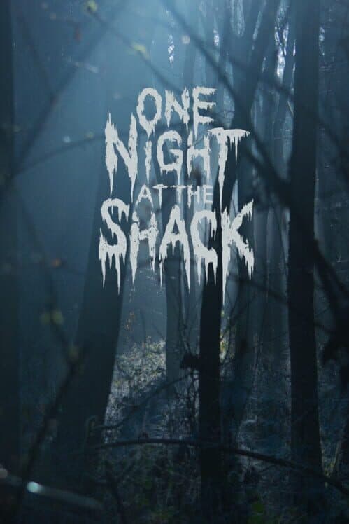 Обложка One Night At The Shack