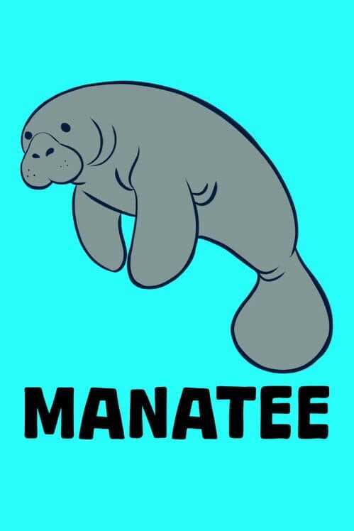 Обложка Manatee