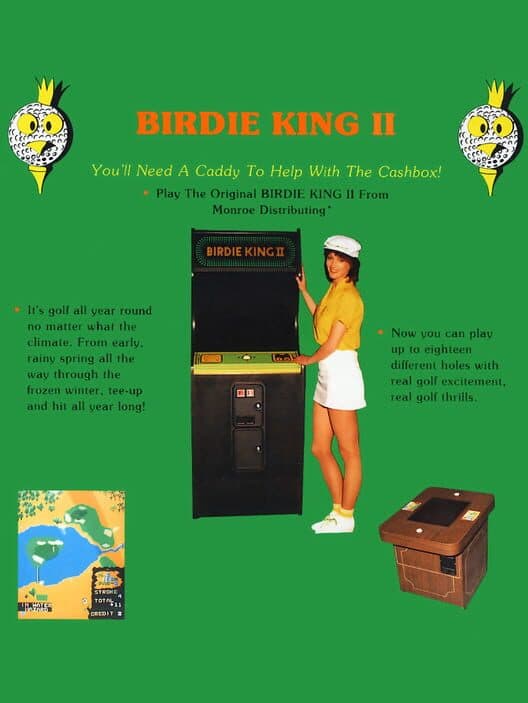 Обложка Birdie King 2