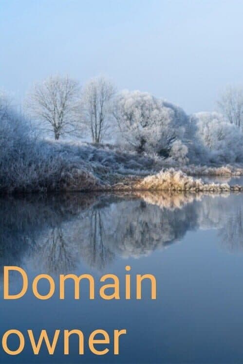 Обложка Domain Owner