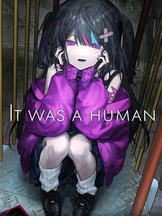 Обложка It Was a Human