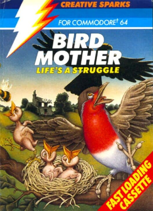 Обложка Bird Mother