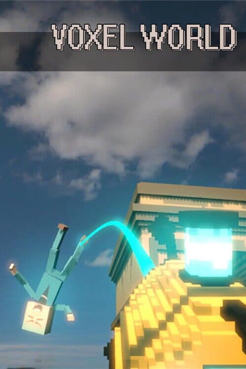 Обложка Voxel World
