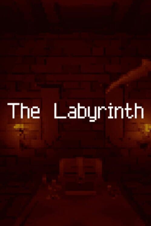Обложка The Labyrinth