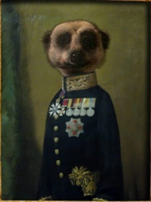 Обложка Compare the Meerkat