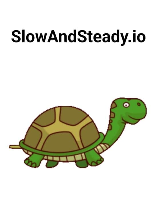 Обложка SlowAndSteady.io